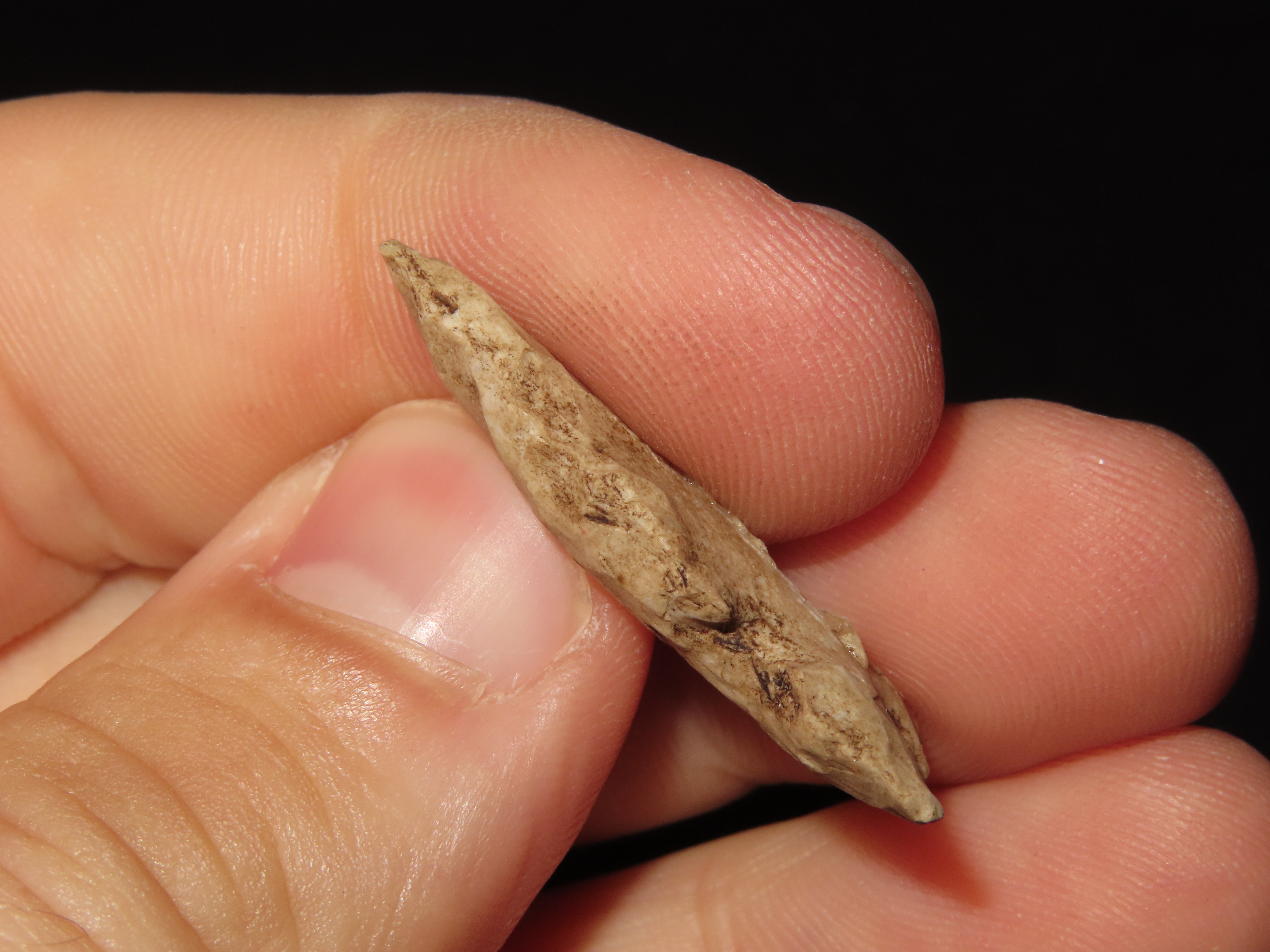 1 1/4" Cahokia Point, St. Clair Co. Illinois