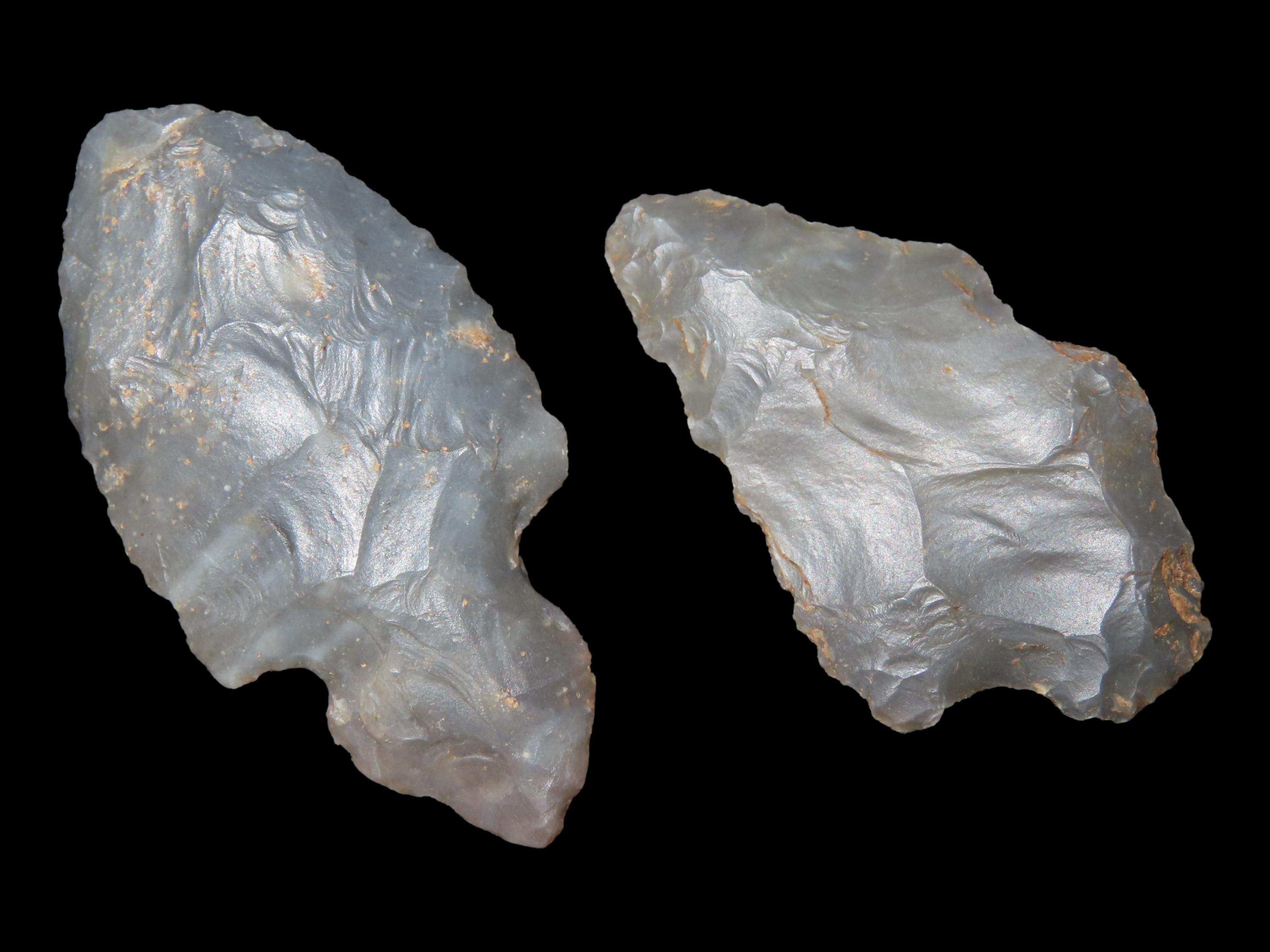Lot of Two Adena Points, Turkey Tail KY