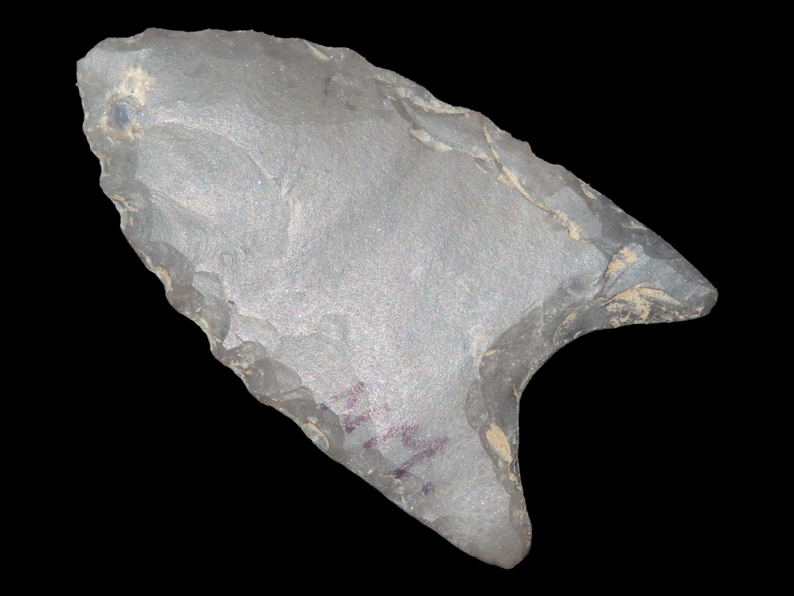 1 1/16" Paleo Point, KY