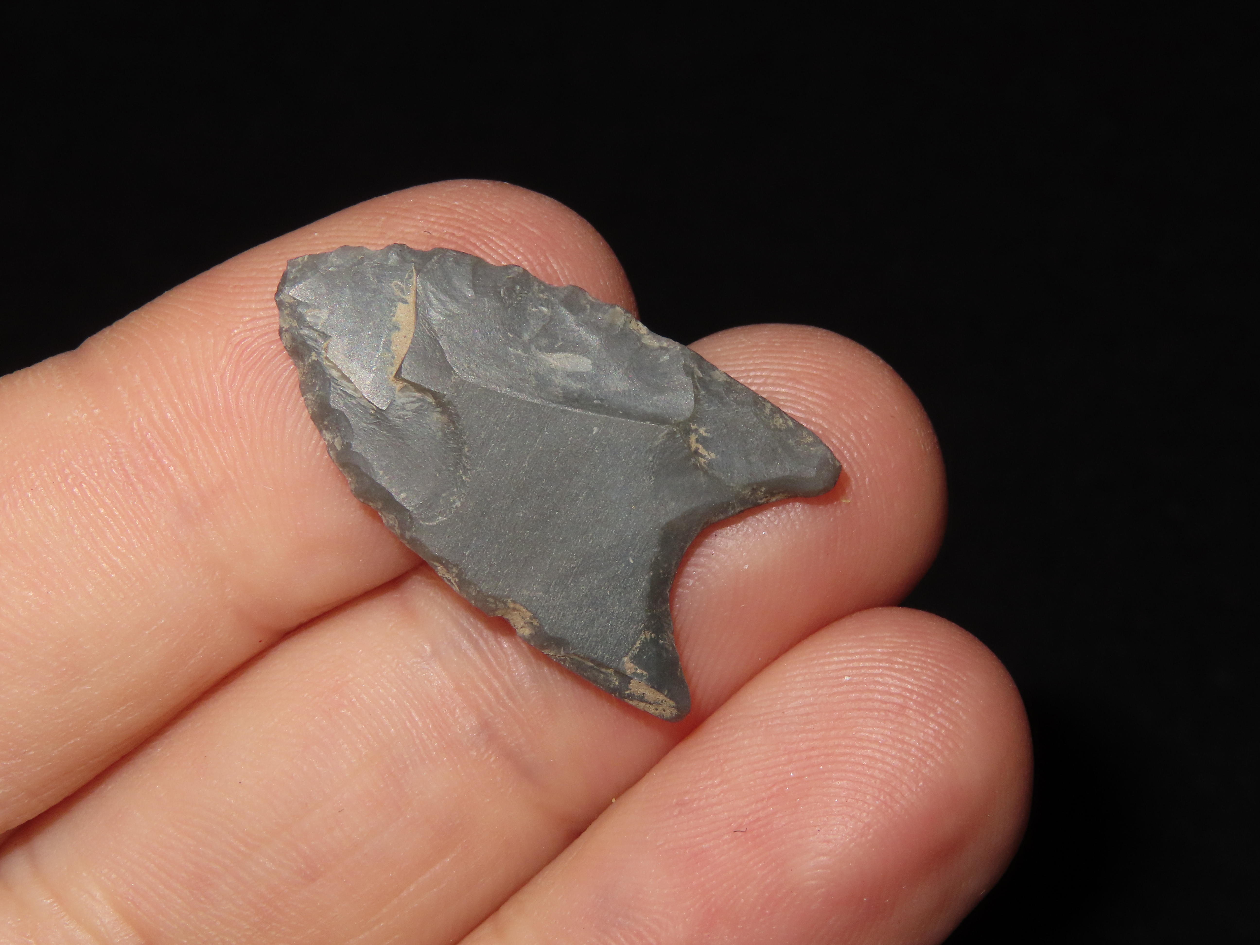 1 1/16" Paleo Point, KY