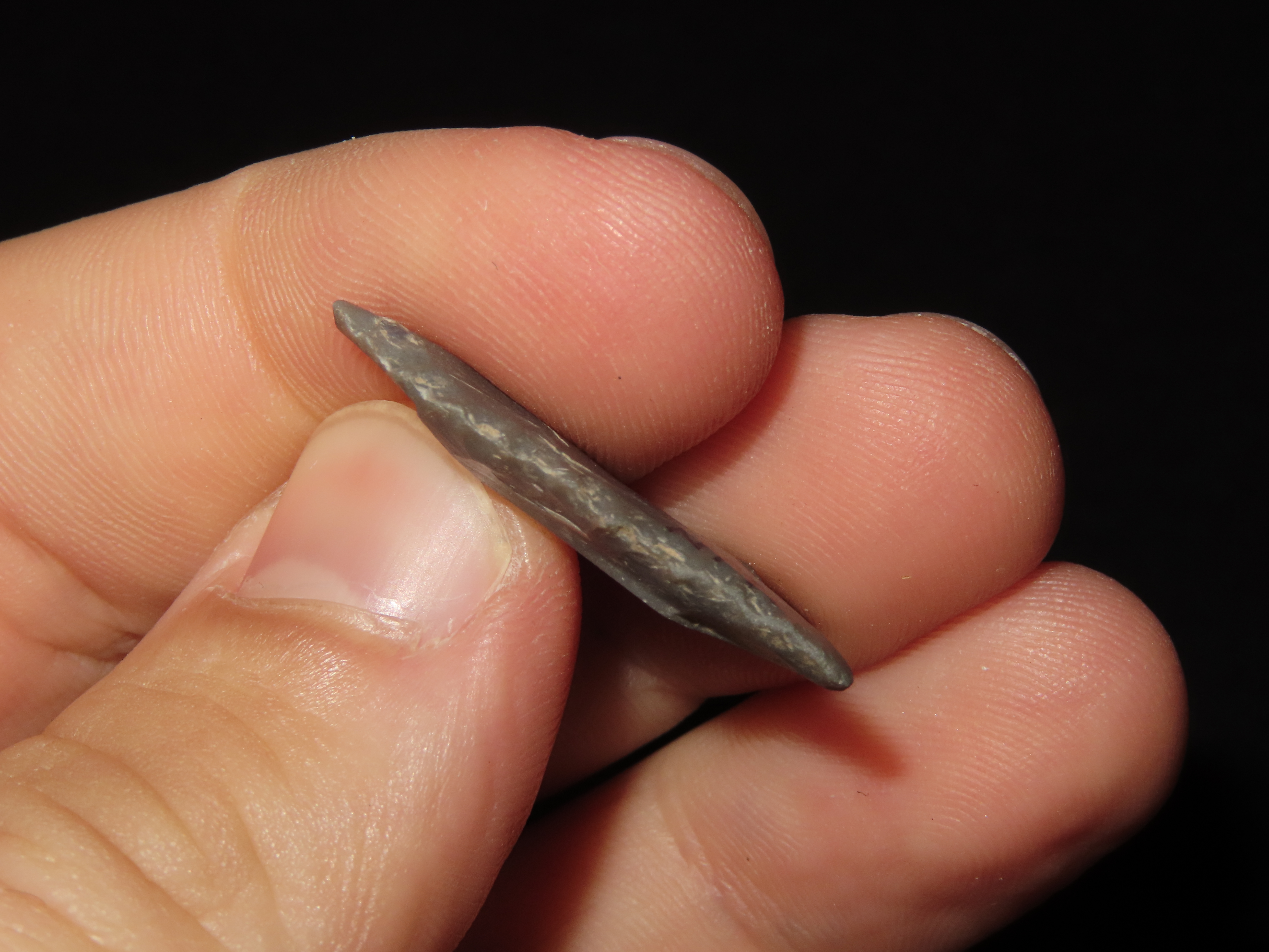 1 1/16" Paleo Point, KY