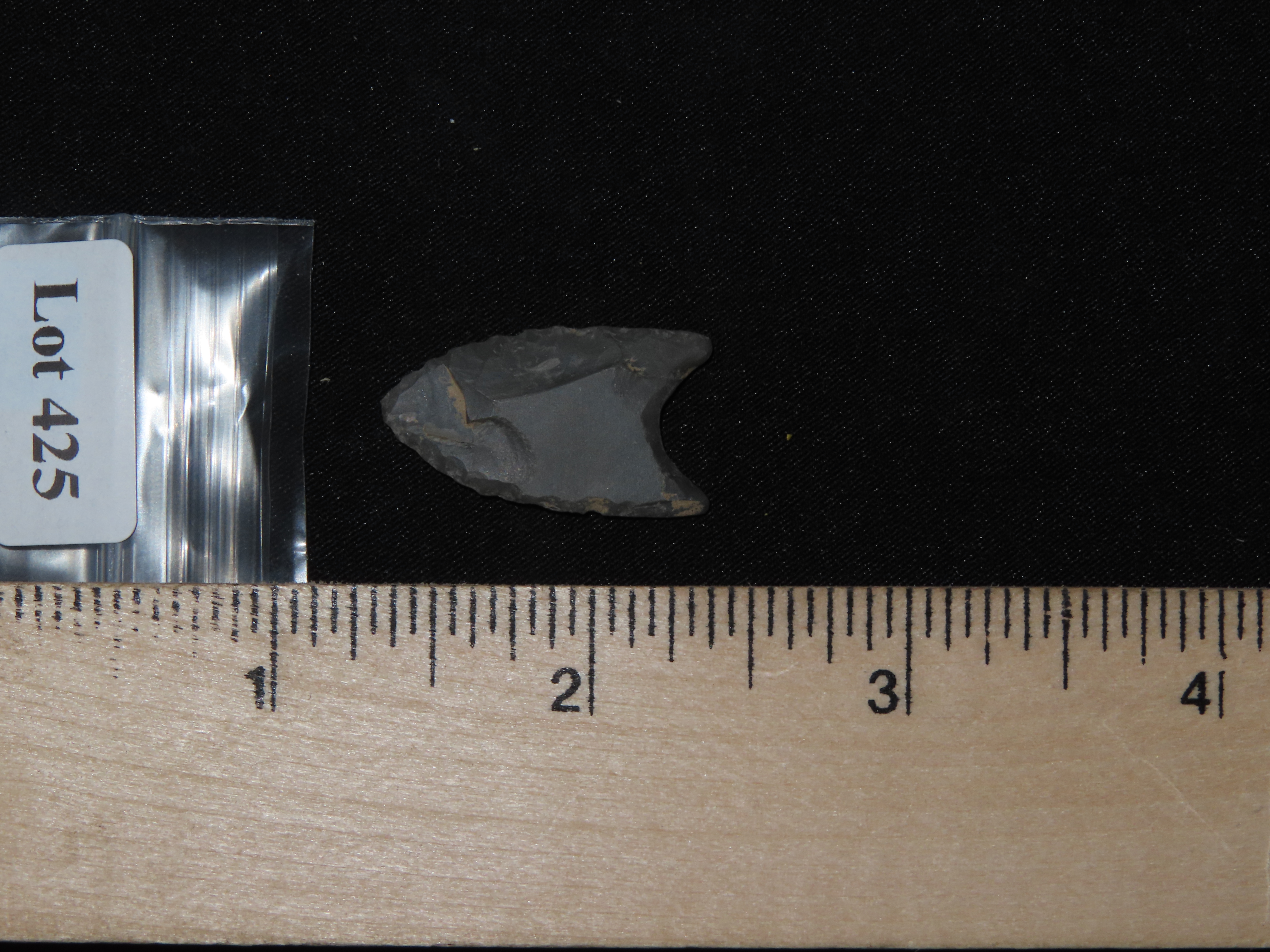 1 1/16" Paleo Point, KY