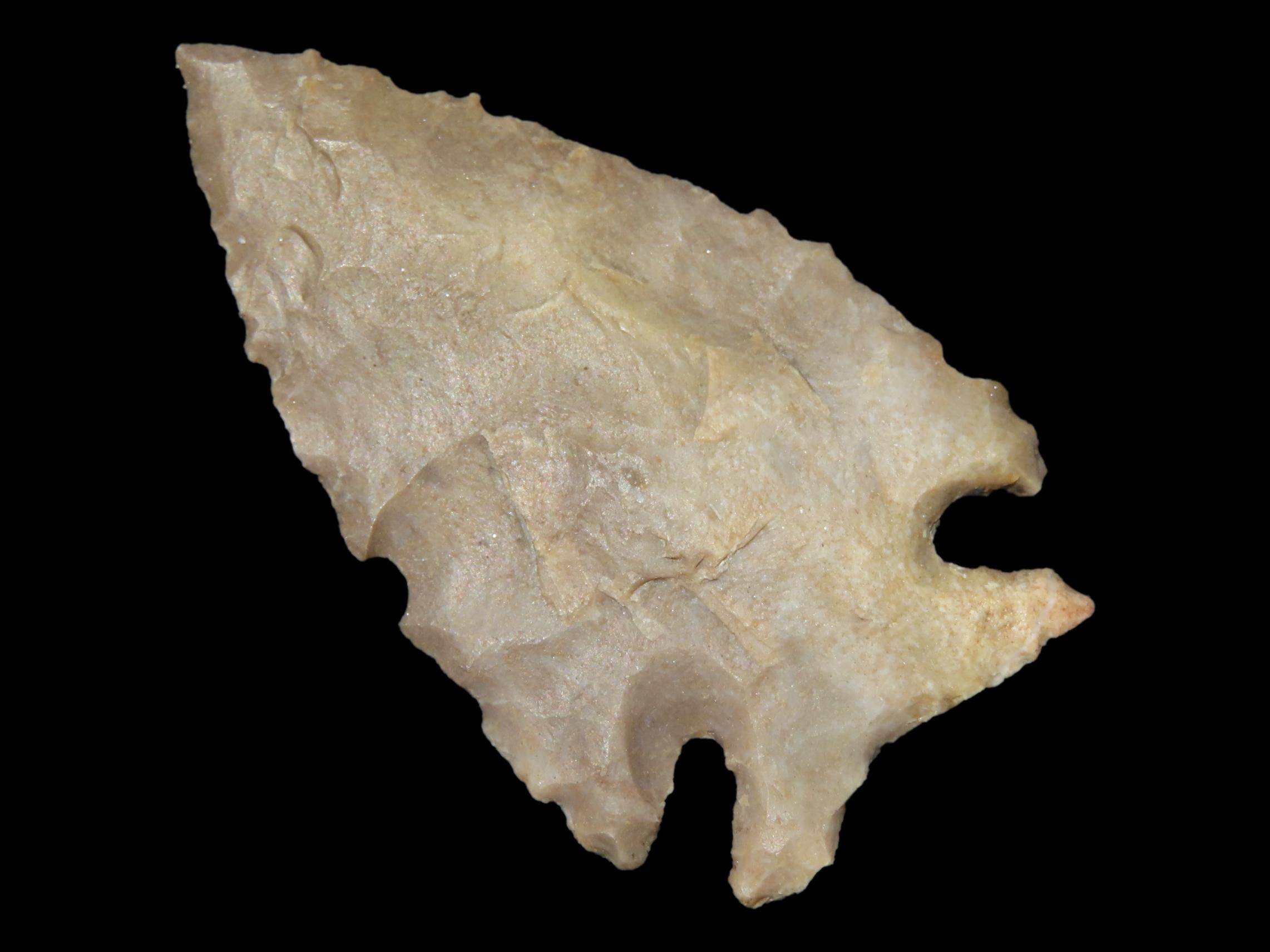 1 1/2" Archaic Corner Notch, KY