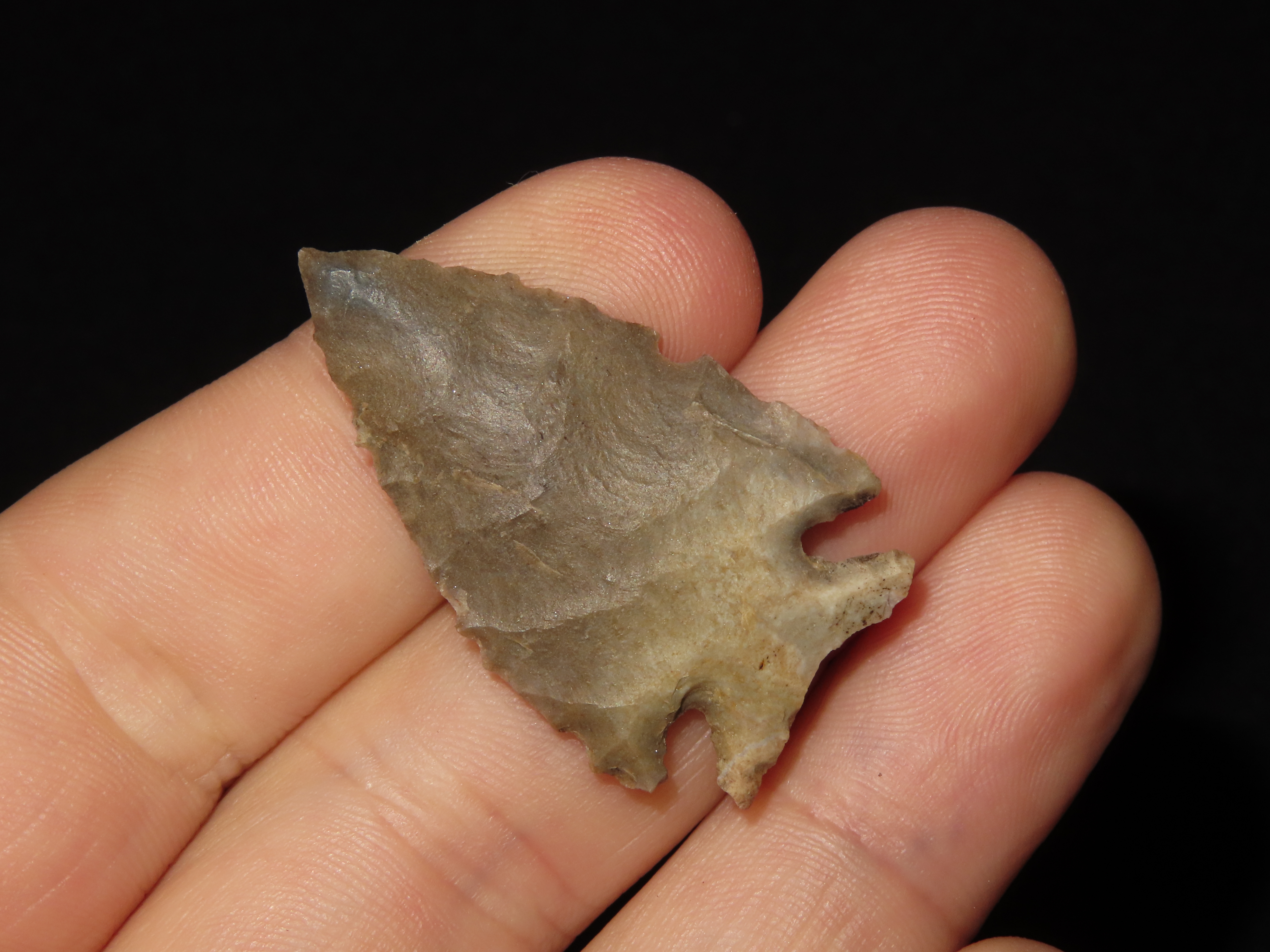 1 1/2" Archaic Corner Notch, KY