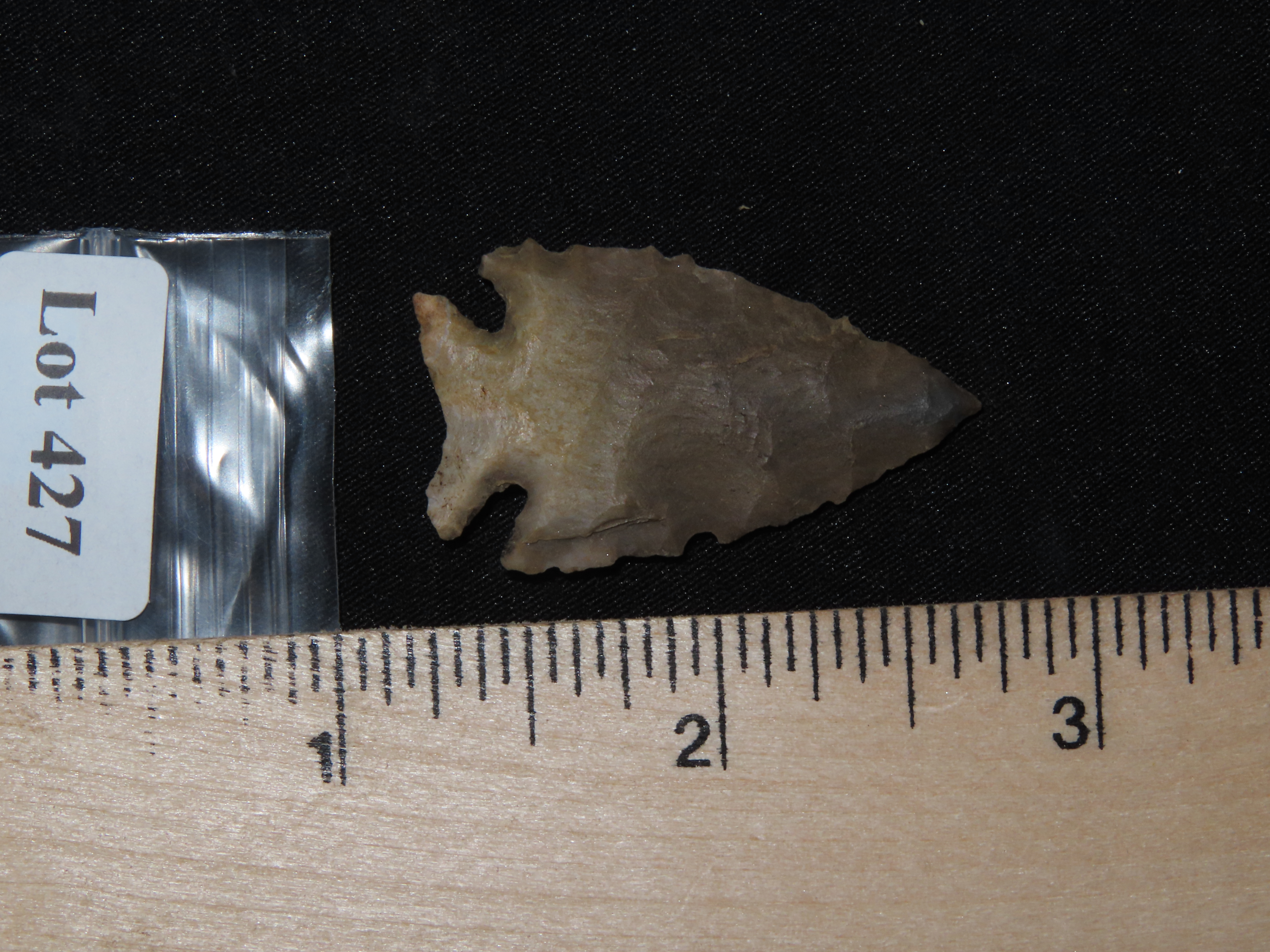 1 1/2" Archaic Corner Notch, KY