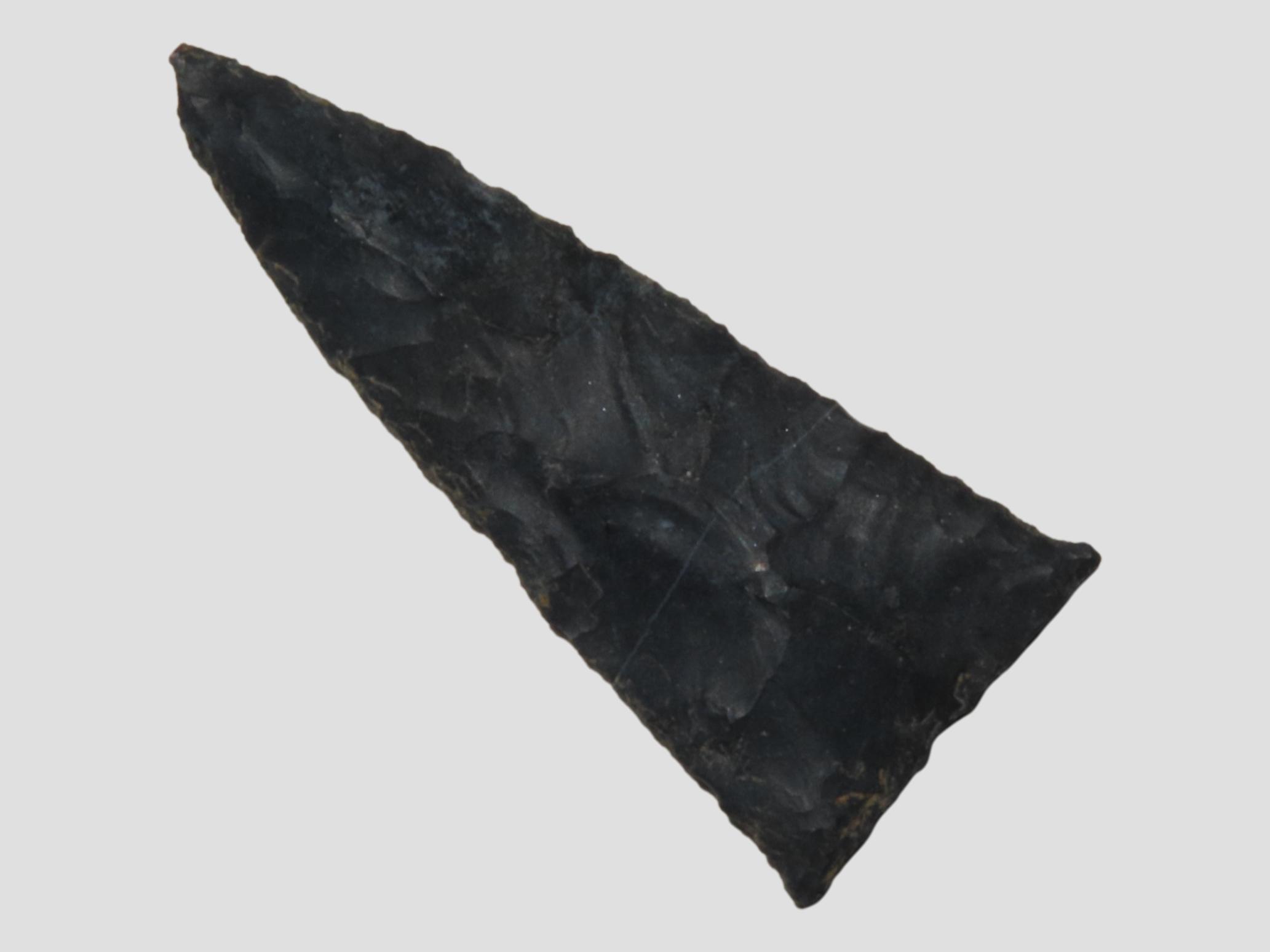 1 5/16" Triangular Birdpoint, Found Near Herman Penn.