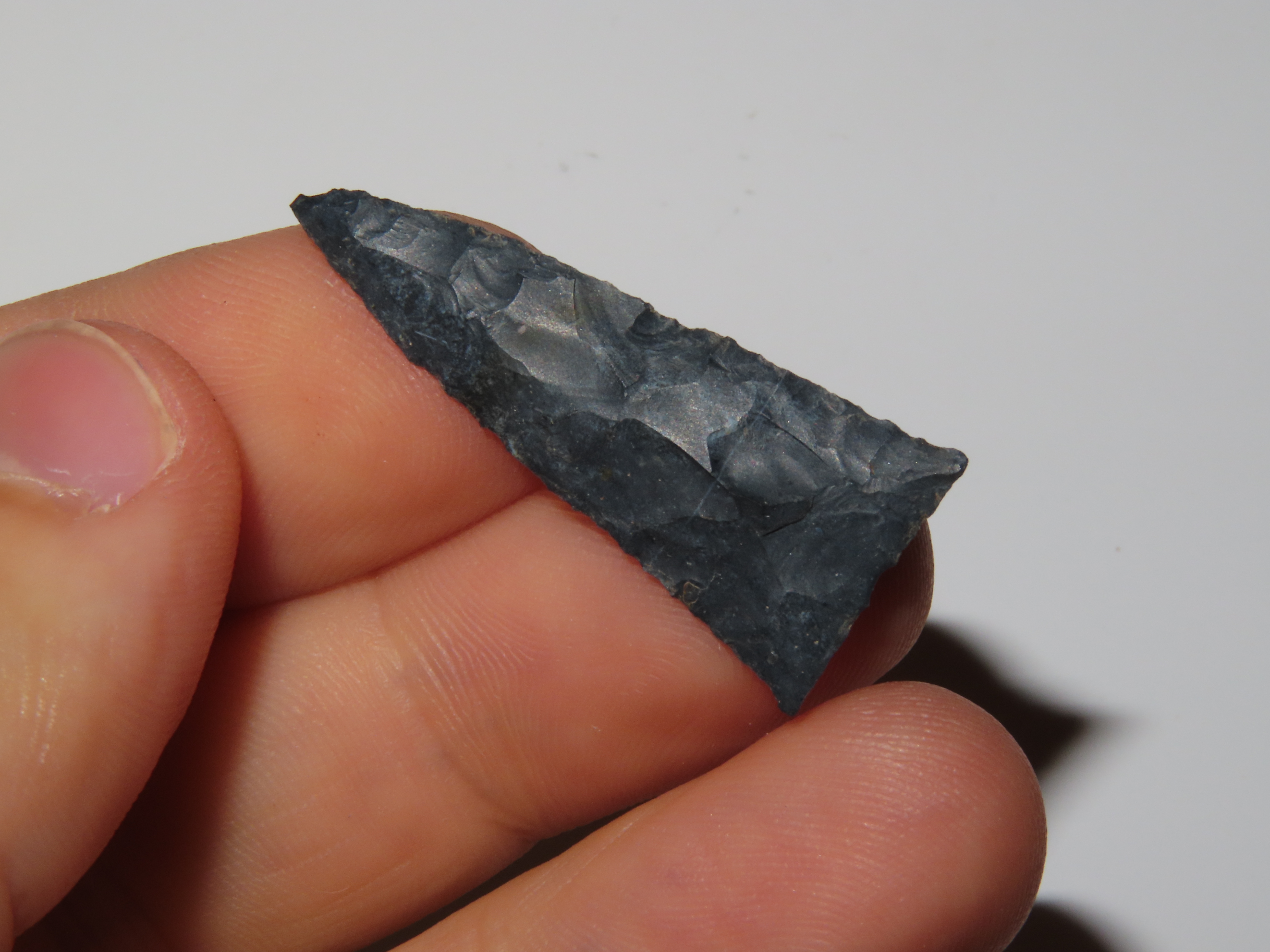 1 5/16" Triangular Birdpoint, Found Near Herman Penn.