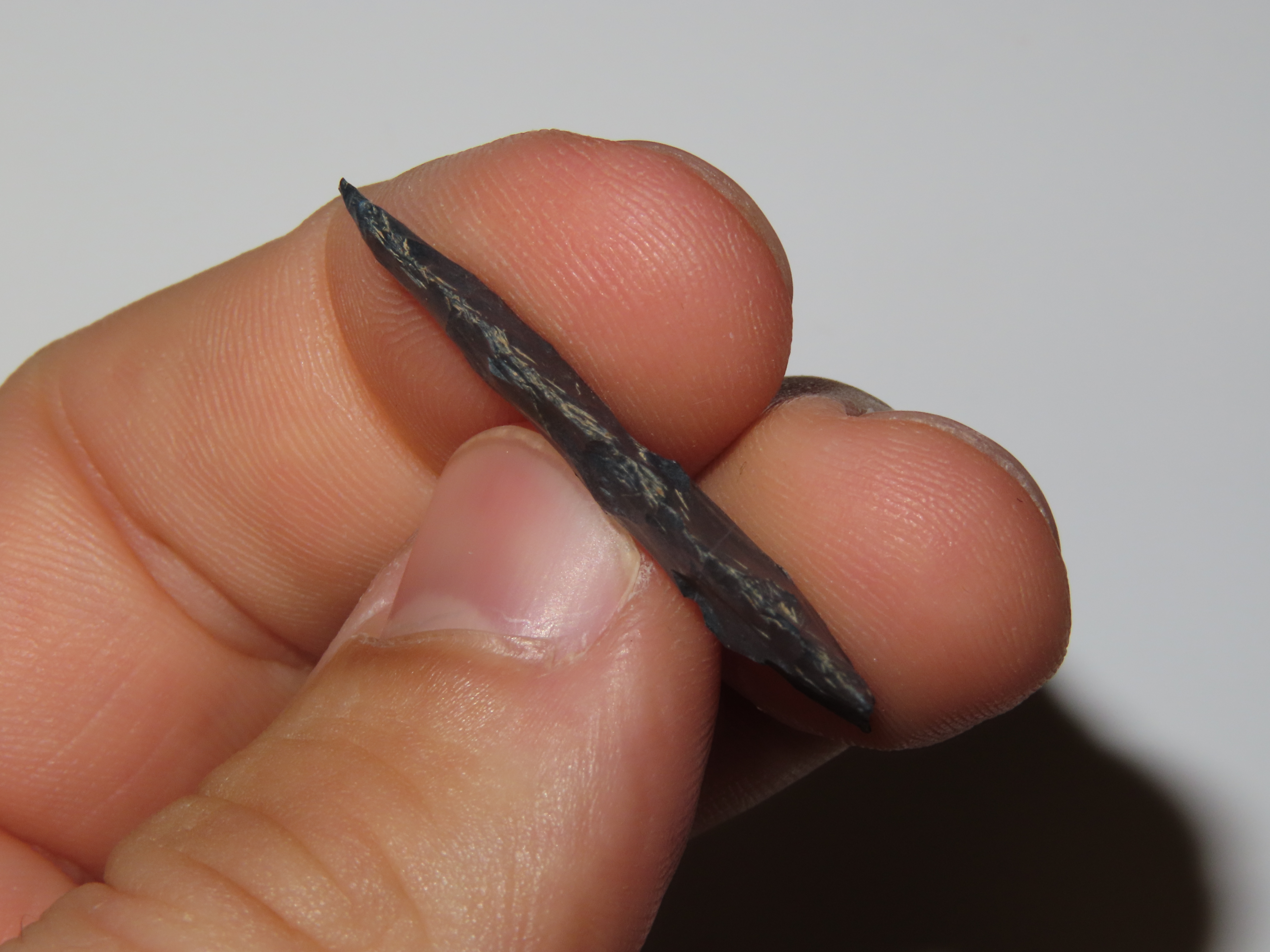 1 5/16" Triangular Birdpoint, Found Near Herman Penn.