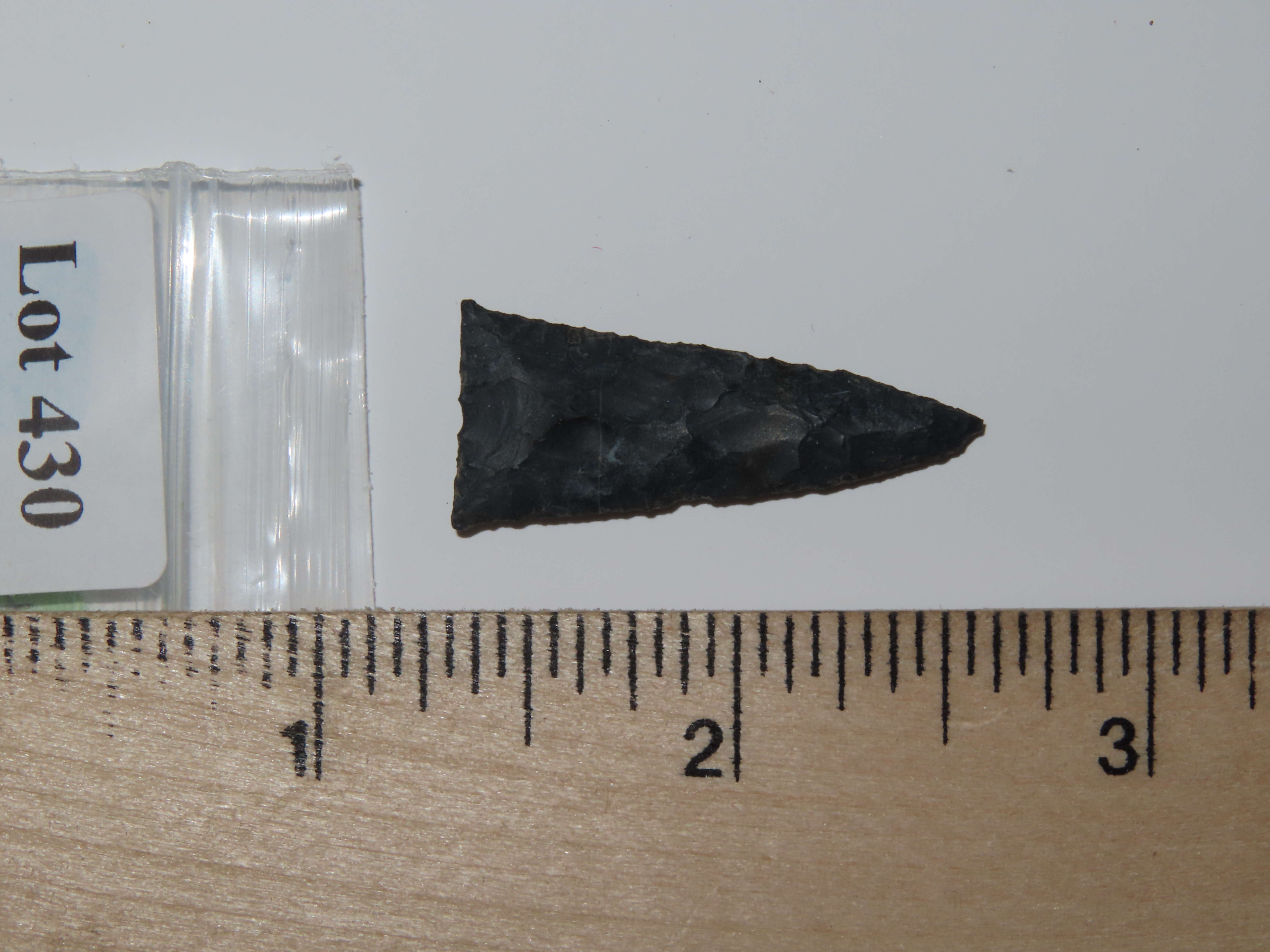 1 5/16" Triangular Birdpoint, Found Near Herman Penn.
