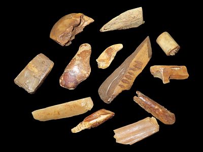 Lot of 12 Fossilized Eskimo Inuit Bone Artifacts, St. Lawrence Island, Alaska