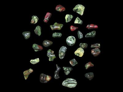 Collection of Fossil Coral, Middle East