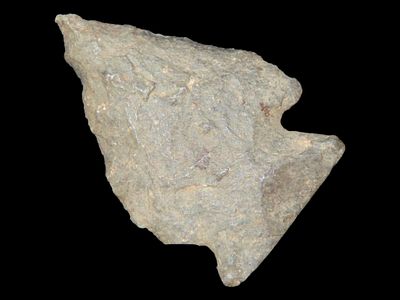 1 3/8" Oley Point, Gray Rhyolite, Found 1920-1930, Marvin Farm/Beaver Site, Attleboro 
