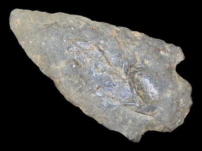 2 3/4" Morrow Mountain Straight Base, Found 1920-1930, Marvin Farm/Beaver Site, Attleboro 