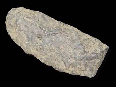 2 7/8" Mansion Inn, Purple Rhyolite, Found 1920-1930, Marvin Farm/Beaver Site, Attleboro 