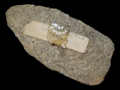 3 1/4" Archaic Blade, Found 1920-1930, Marvin Farm/Beaver Site, Attleboro, Massachusetts, Ex. 