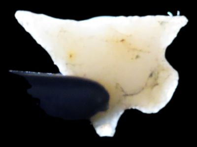 5/8" Bird Point, Novaculite, Arkansas