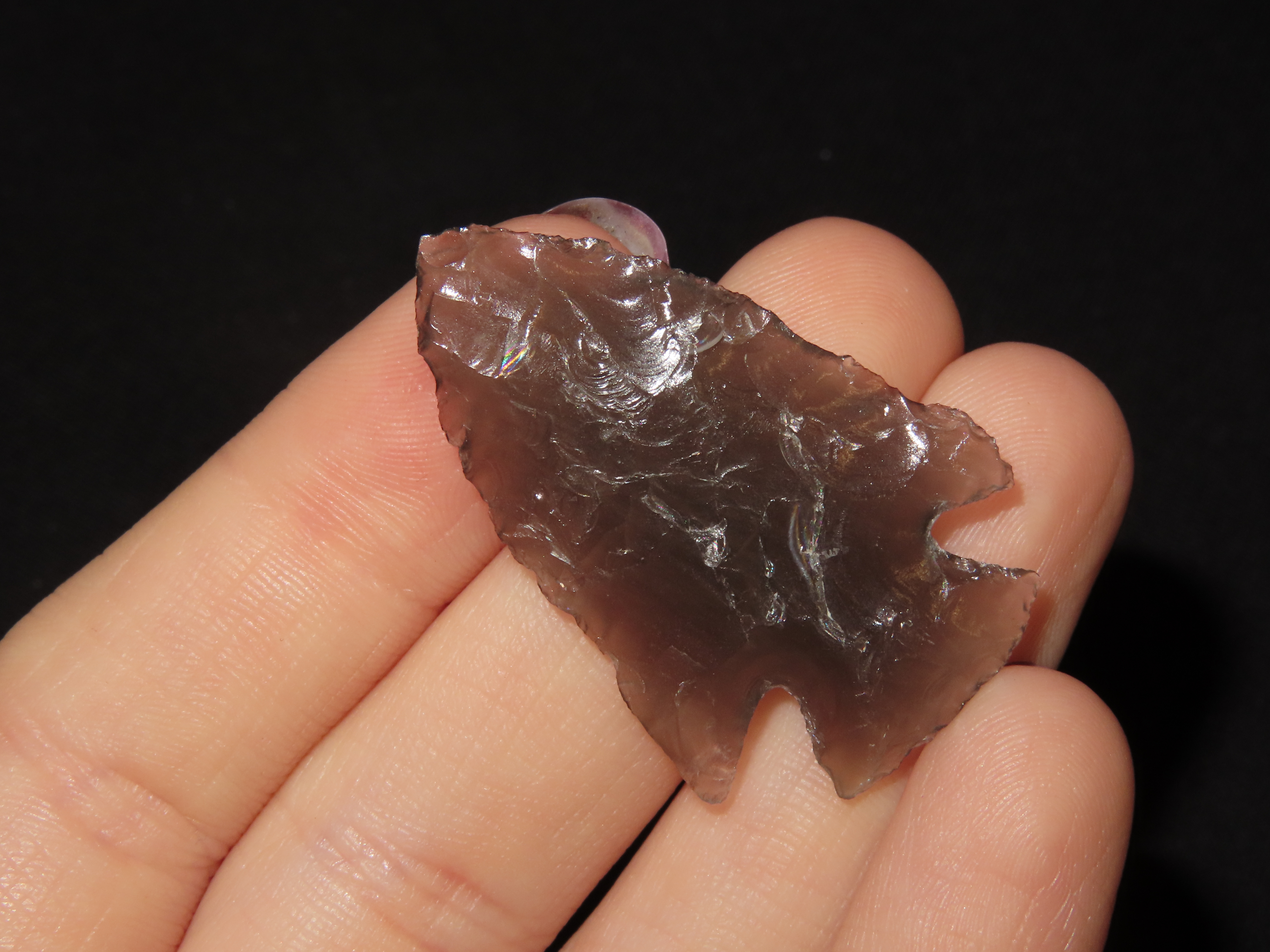 1 1/2" Hell’s Canyon, Obsidian, Central Nevada