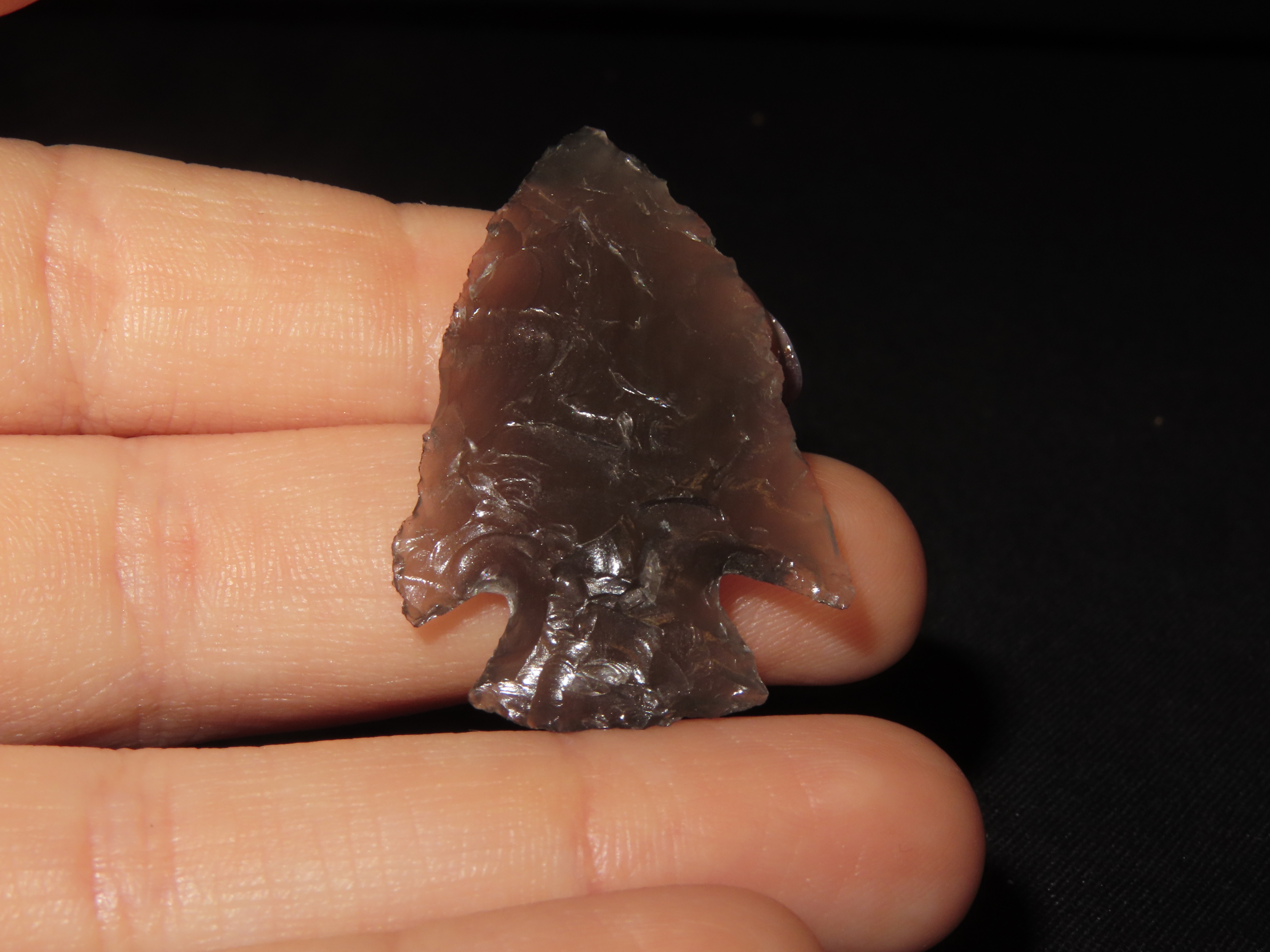 1 1/2" Hell’s Canyon, Obsidian, Central Nevada