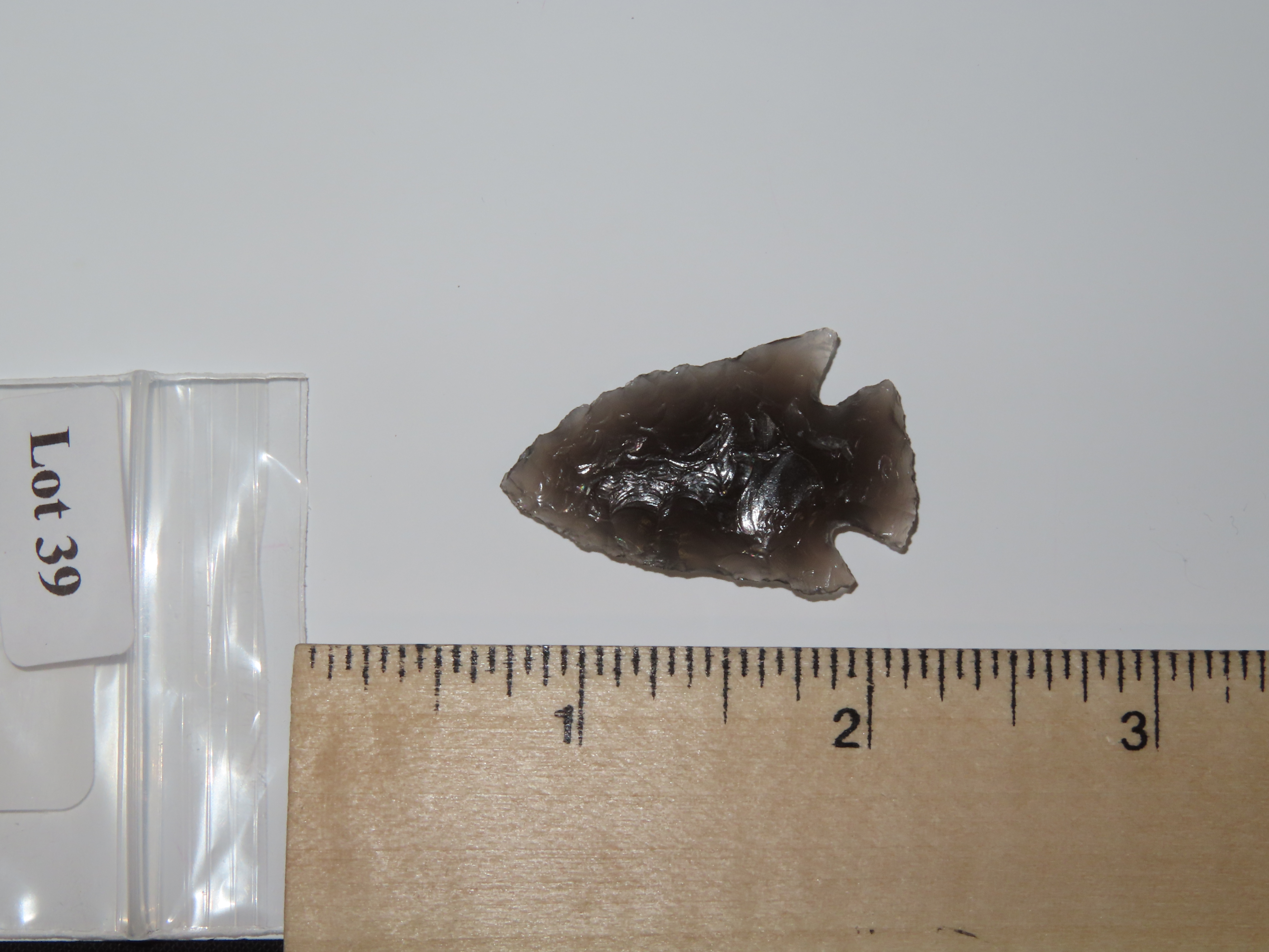 1 1/2" Hell’s Canyon, Obsidian, Central Nevada