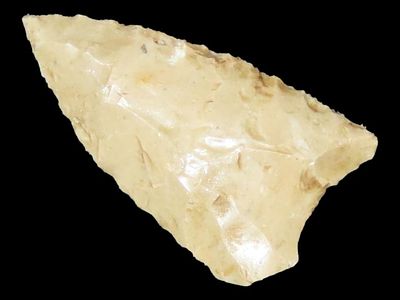 1 3/16" Folsom/Fluted Paleo, New Mexico