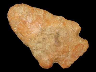 2 5/8" x 1 3/4" River-Stained Rice Lobbed, Boone Co., Missouri