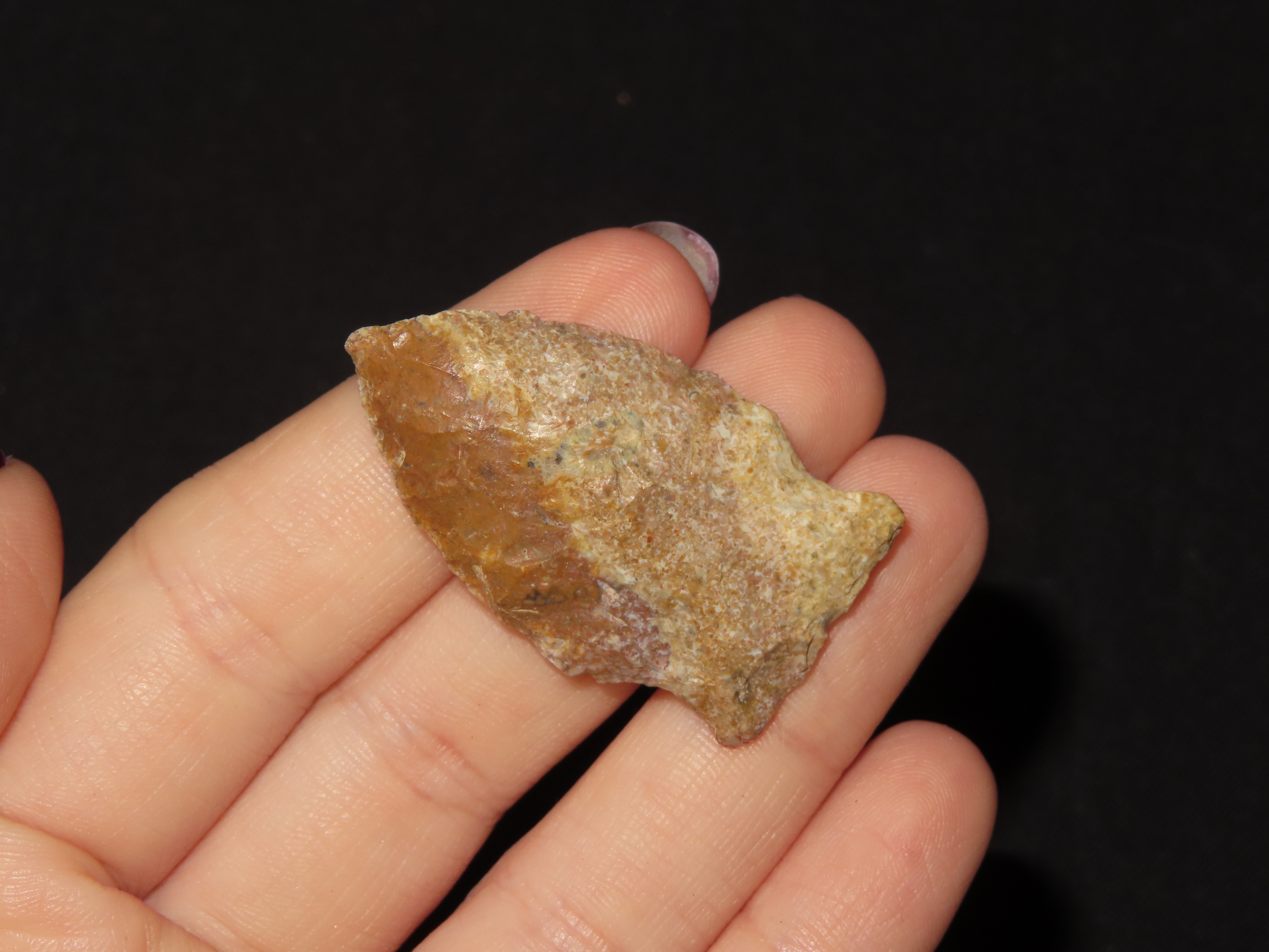 1 5/8" x 7/8" Matanza, Creek-Stained, Found by Michael Koch, Brown Co., Illinois