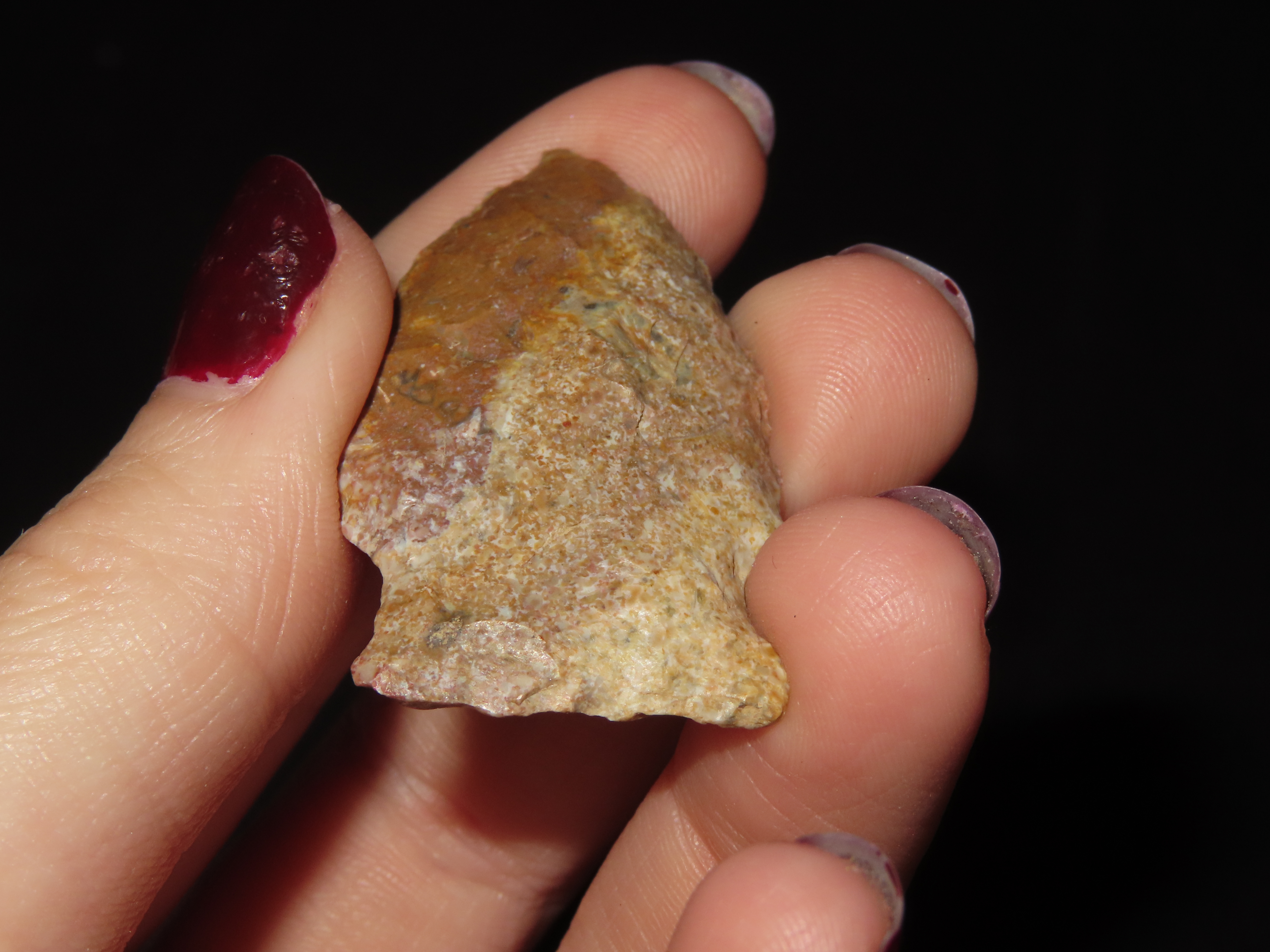 1 5/8" x 7/8" Matanza, Creek-Stained, Found by Michael Koch, Brown Co., Illinois