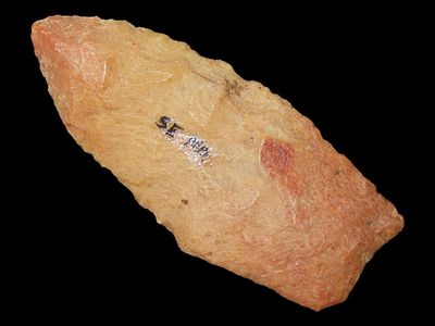2 1/4" x 7/8" Agate Basin/Angostura, Ground Base, Paleo, Southeast Missouri, Ex. Bill Pettit 