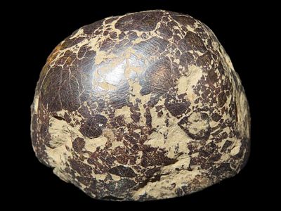 1 3/4" Hematite Loaf Stone, Early Archaic, Kentucky, Ex. Josh Davis