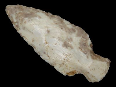 2 9/16" x 1" Table Rock, Avon Chert, Woodford Co., Illinois, Ex. Schoon