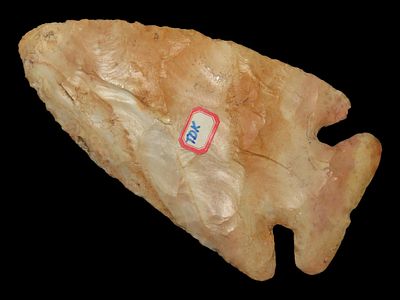 4 11/16" Thebes, Dickey COA, Calhoun Co., Illinois, Found Near the Illinois River