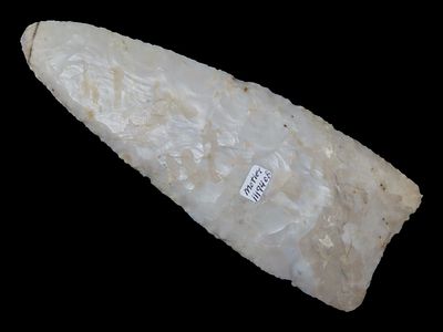6 7/16" Sloan Dalton, Motley COA, Avon Chert, Illinois