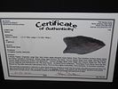 2 11/16" Holland Dalton, Partain COA, Livingston Co., KentuckyImage - 7