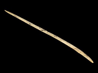 22 7/8" Perforated Alaskan Whale Spear, Walrus Tusk