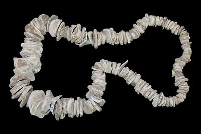 Strand of Florida Shell Beads, Ex. Ed Schwartz