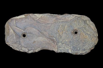 4 1/2" Slate Gorget, Knox Co., Ohio