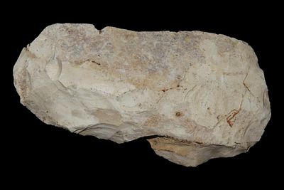 4 1/2" Flint Dalton Adze, Found in Missouri by Terry Annin