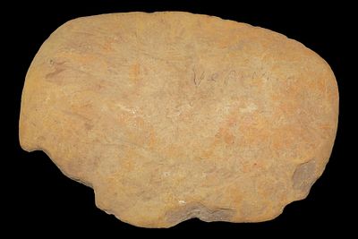 3 1/2" Mississippian Tablet, Limonite, Jefferson Co., Missouri