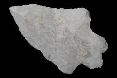 1 1/2" Fox Valley, Found by Ronald Kooken, Adams Co., Illinois