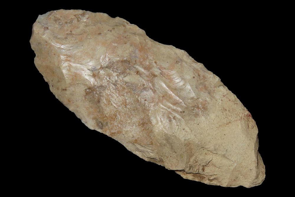 3 3/4" Ovate Knife, Creek Find by Gary Nelson, Van Buren Co., Iowa