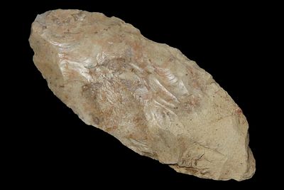 3 3/4" Ovate Knife, Creek Find by Gary Nelson, Van Buren Co., Iowa