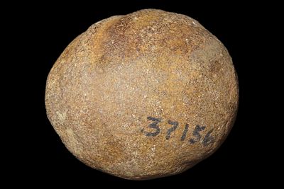 1 3/4" Game Stone, Lee Co., Arkansas