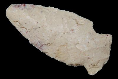 2 7/8" Gibson, Pike Co., Missouri, Ex. Roger McCreight