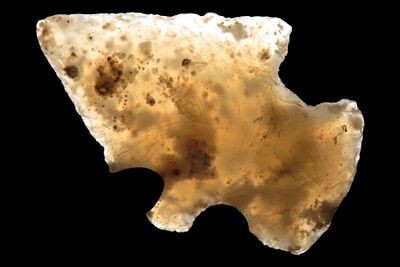 1 1/16" Chalcedony Rose Springs, New Mexico, Ex. Roger McCreight Collection