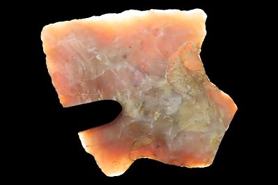 1 1/2" Putman, Tennessee, Ex. Roger McCreight