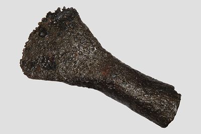 3 3/8" Early Historic Socket Adze or Axe, Found in Michigan