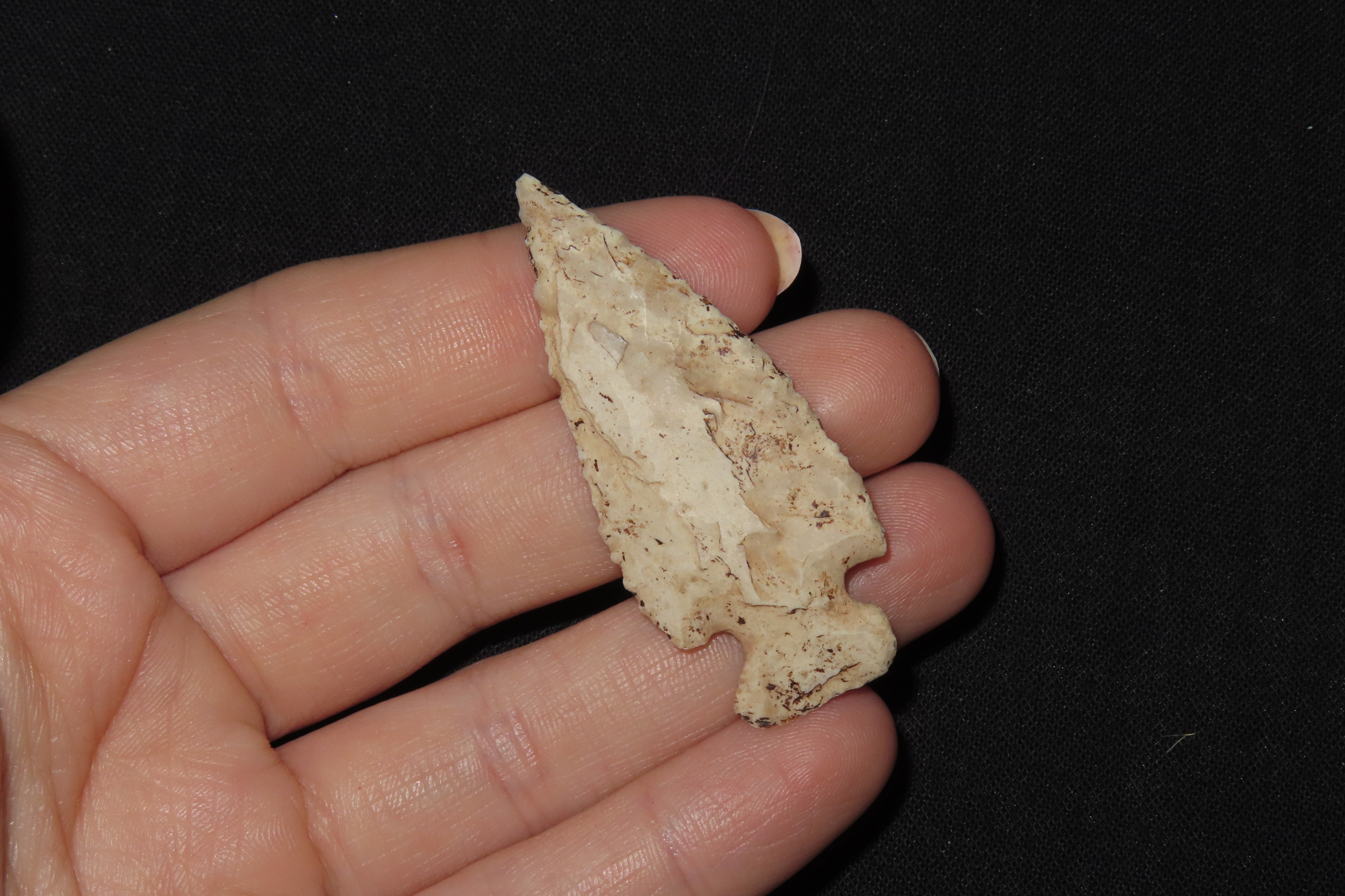 2" Scallion Bird Point, Lee Co., Iowa