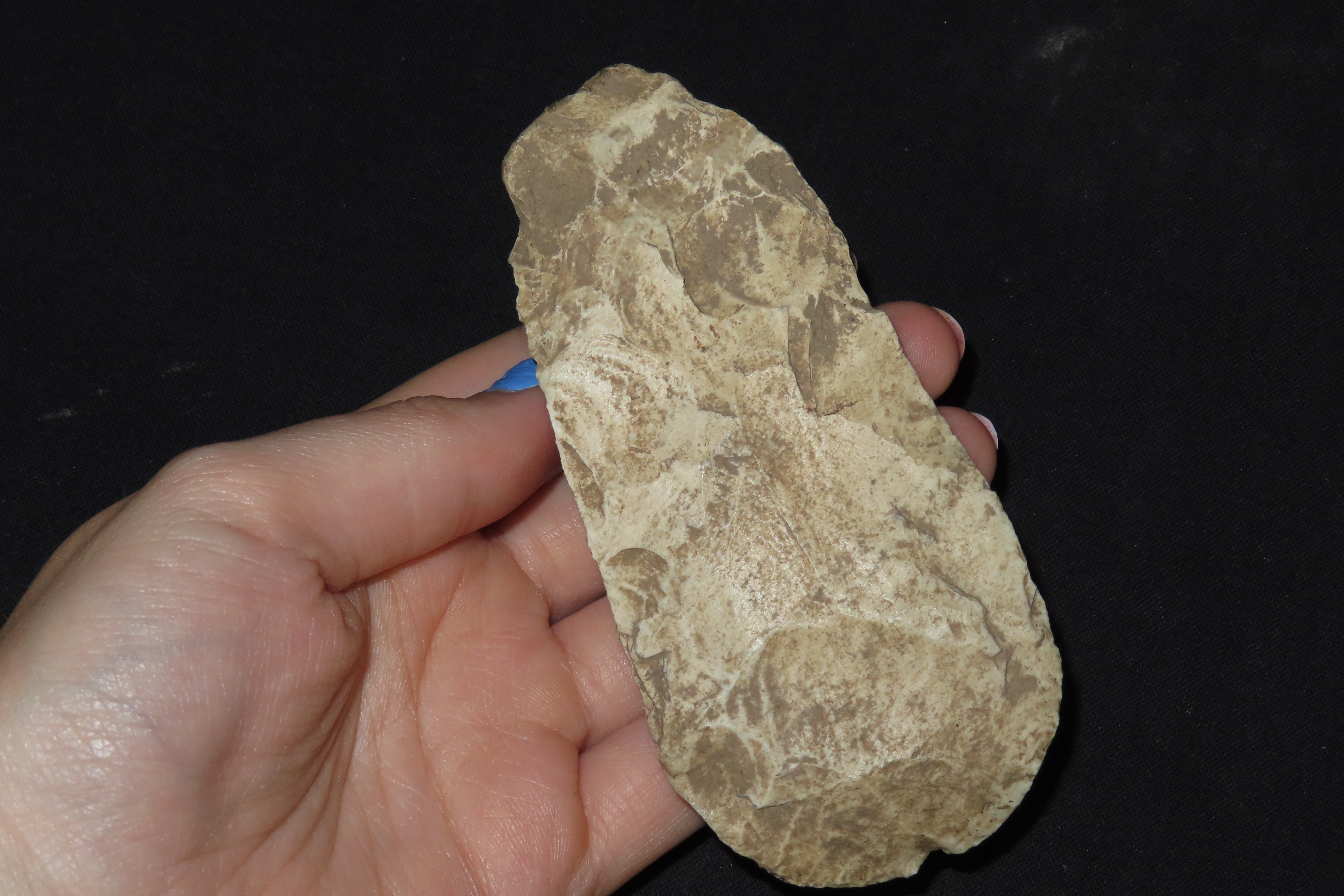 4 1/4" Dalton Adze, Jersey Co., Illinois