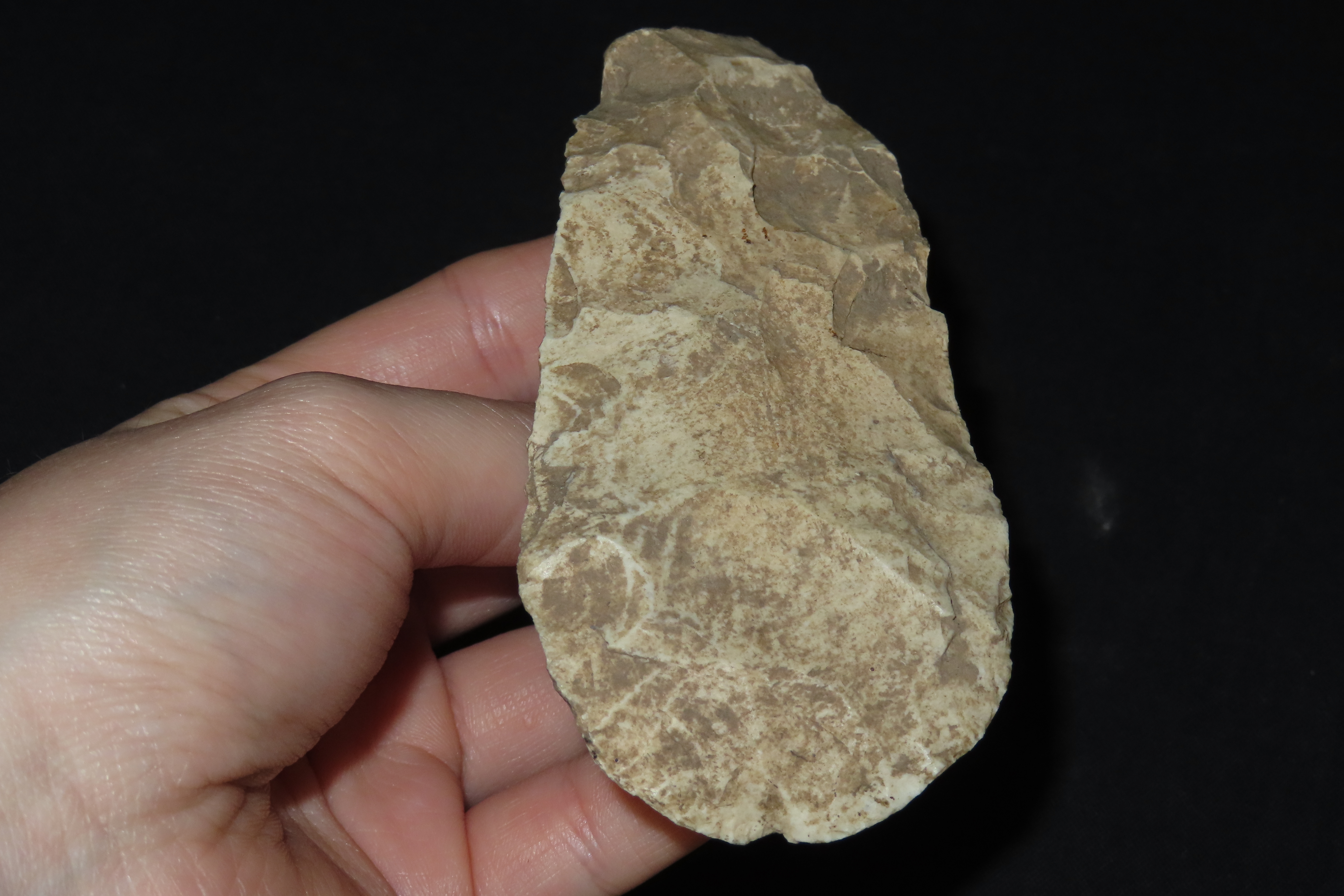 4 1/4" Dalton Adze, Jersey Co., Illinois