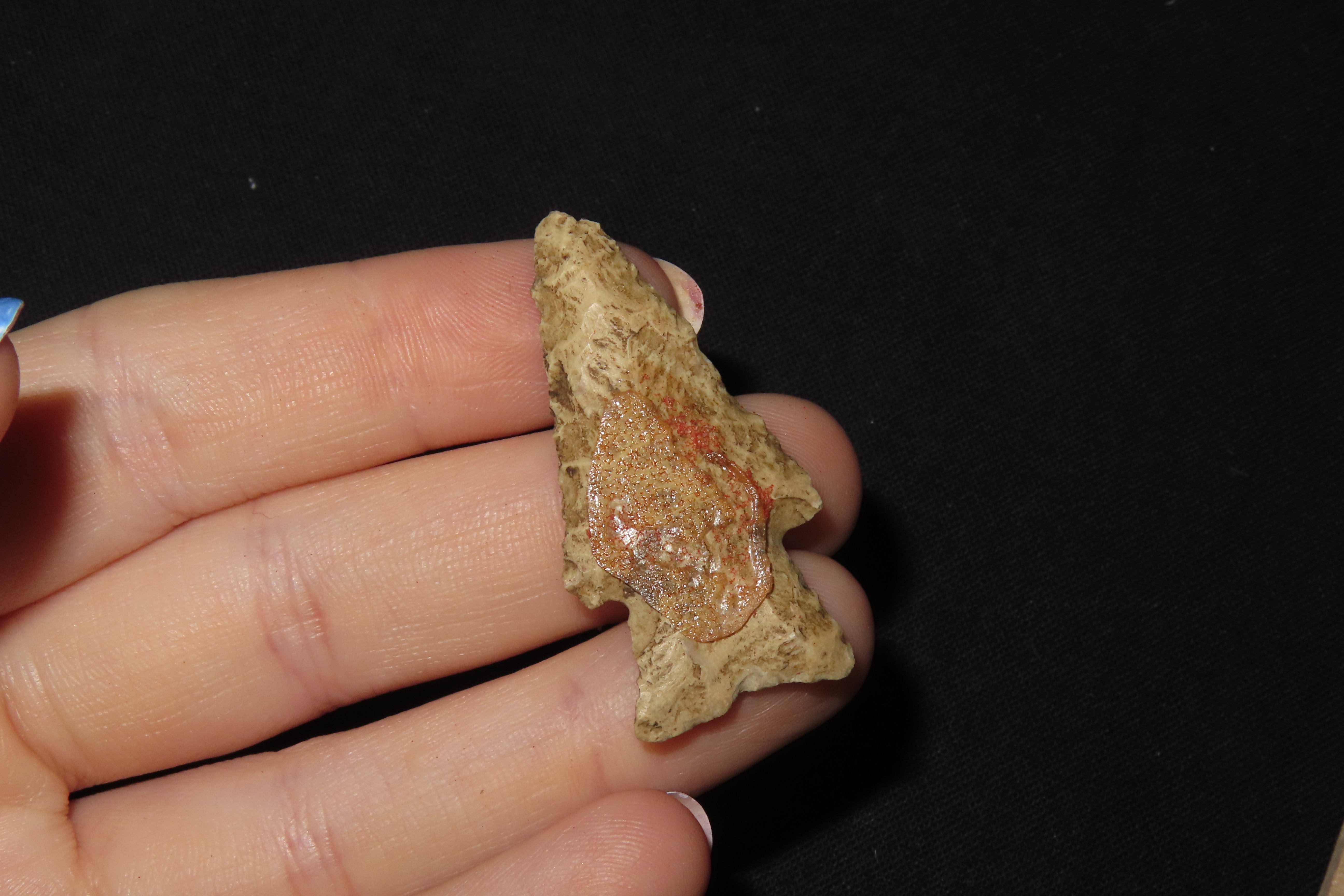 Lot of 3 Archaic Points, Central Illinois
